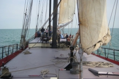 afbeelding068