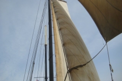 afbeelding069