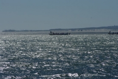 k20d7091