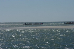 k20d7093
