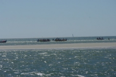 k20d7094