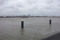 photo12